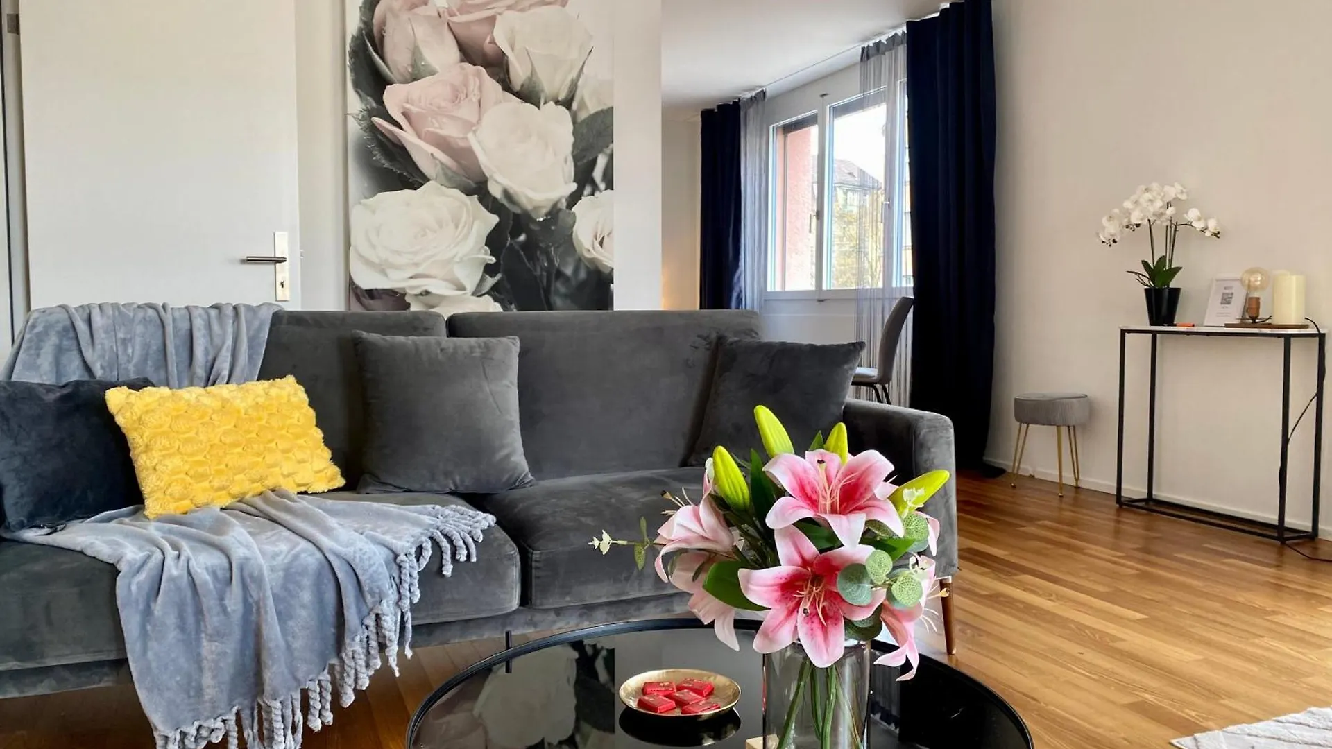 City Views Apartment Am Schaffhauserplatz Schweiz