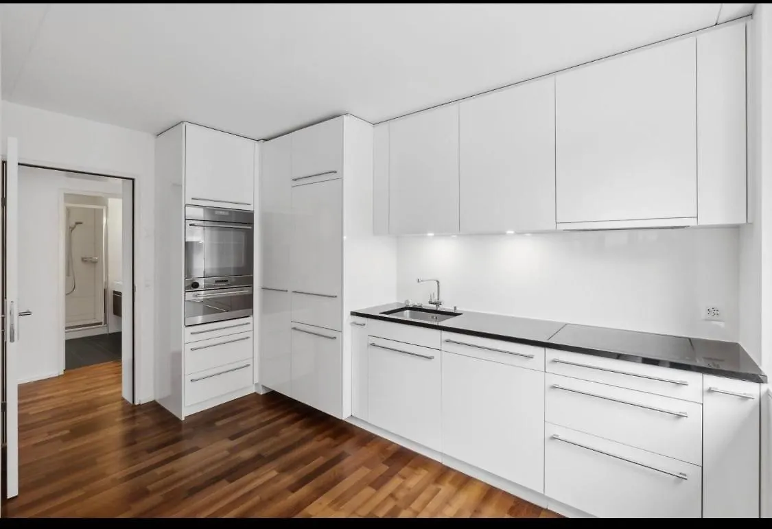 City Views Apartment Am Schaffhauserplatz  Curych