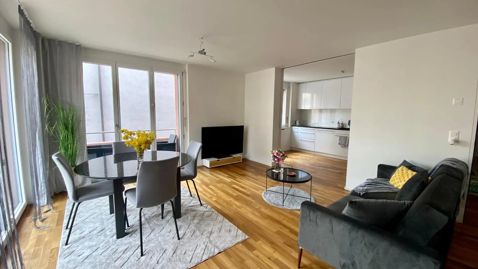 City Views Apartment Am Schaffhauserplatz