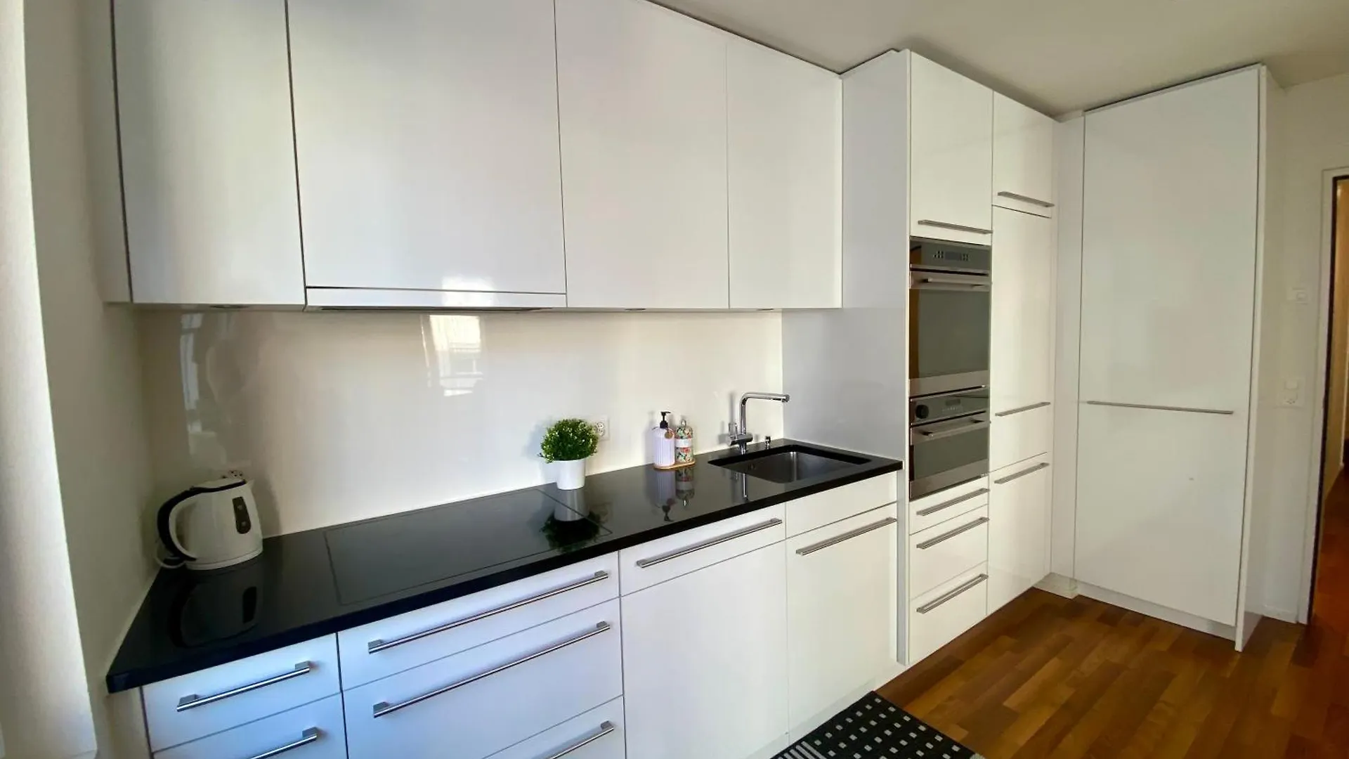 City Views Apartment Am Schaffhauserplatz Curych