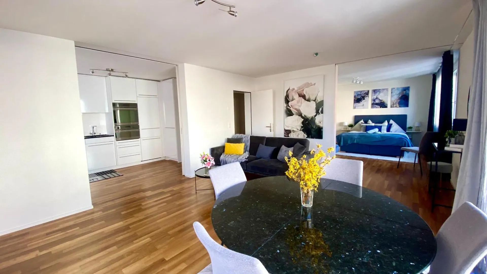 City Views Apartment Am Schaffhauserplatz